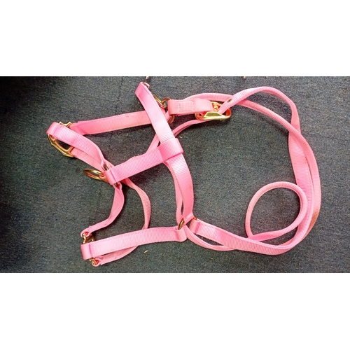 53 - An assortment of equestrian tack comprising a black synthetic treeless-style saddle with integrated ... 