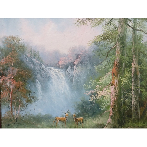 103 - Oil on board—woodland waterfall landscape signed R. Dandford, with two deer in the foreground, signe... 