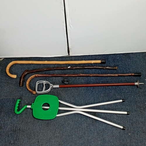 Lot 36        