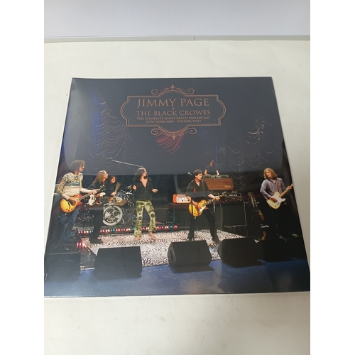 Lot 49        