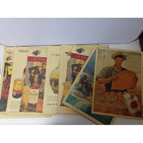 Lot 243       
