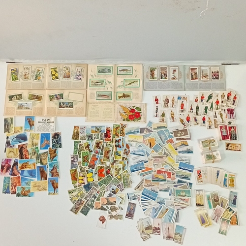 Lot 82        