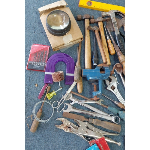 13 - An assortment of workshop tools and hardware, including a Stanley bench plane, hand saw, spirit leve... 