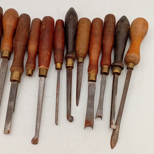 32 - A quantity of turn-of-the-century style wood-handled woodworking chisels and gouges, various profile... 