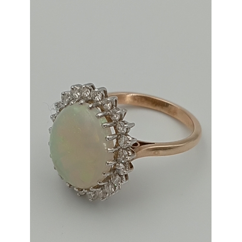Lot 501       