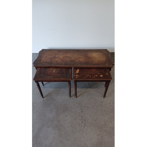 Lot 53        