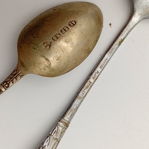 Droitwich Auctions
