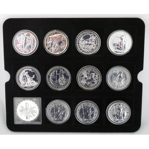 268 - Range of £2 Britannia silver uncirculated (12), all in plastic capsules, with 2001, 2003, 2005 to 20... 