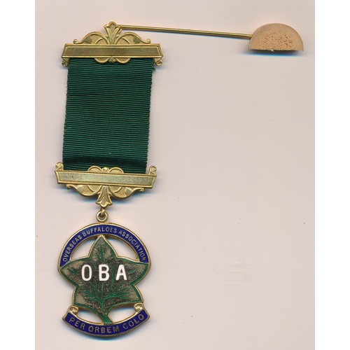 86 - Royal Antediluvian Order of Buffaloes range of jewels (11), 10 are complete with ribbons and pins, f... 