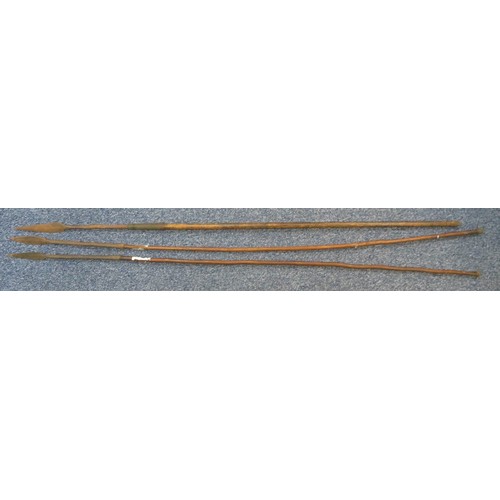 52 - Range of interesting native spears, largest head 42cm long and 13cm wide, 235cm overall length. Head... 