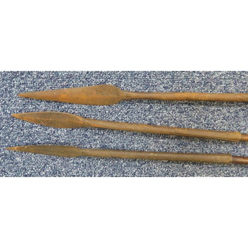 52 - Range of interesting native spears, largest head 42cm long and 13cm wide, 235cm overall length. Head... 