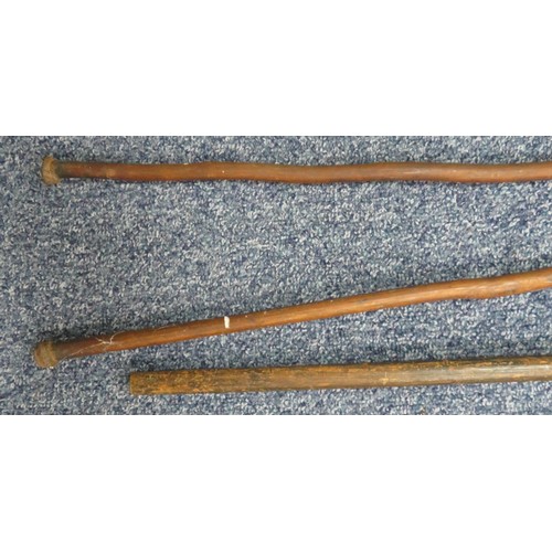 52 - Range of interesting native spears, largest head 42cm long and 13cm wide, 235cm overall length. Head... 