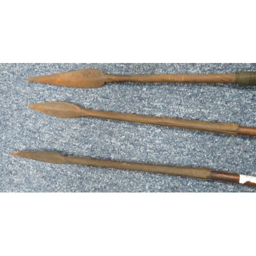 52 - Range of interesting native spears, largest head 42cm long and 13cm wide, 235cm overall length. Head... 