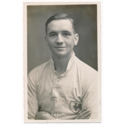 40 - Tottenham Hotspur 1933/1934 - selection of player postcards including Joe Nicholls (Goalkeeper), Bil... 