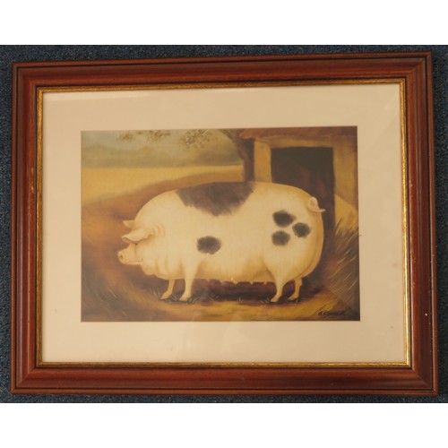 331 - Alexandra Churchill (Canada) – framed print with large square shaped pig, farmhouse animals. 39cm x ... 