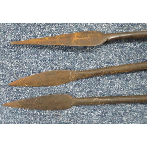 216 - Range of interesting native spears, largest head 42cm long and 13cm wide, 235cm overall length. Head... 