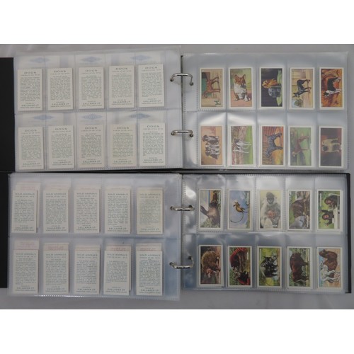 70 - Collection of Gallaher cigarette card sets in 2 albums, in mixed condition, with Aesop's Fables, Dog... 