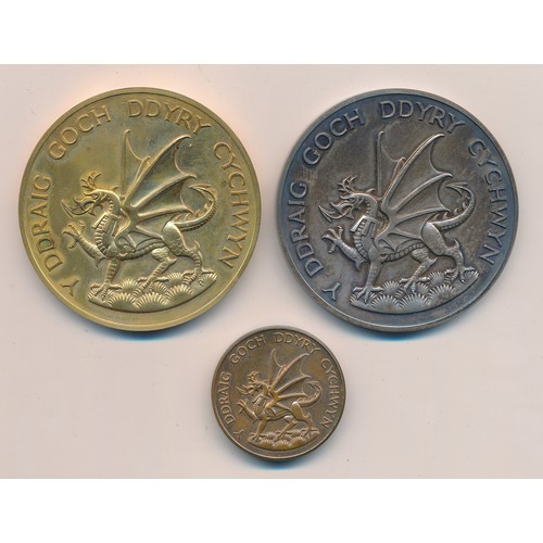 124 - 1969 Prince of Wales Investiture medals (3), with silver 56mm medal weighing approx. 98g in Royal Mi... 