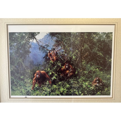 211 - David Shepherd (British, 1931-2017) – ‘Men of the Woods’ Orangutan signed limited edition print. Edi... 