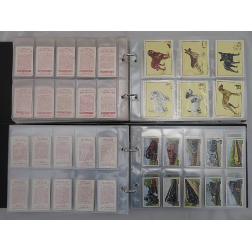 746 - Collection of Gallaher cigarette card sets in two albums, in mixed condition, with Aesop's Fables, D... 