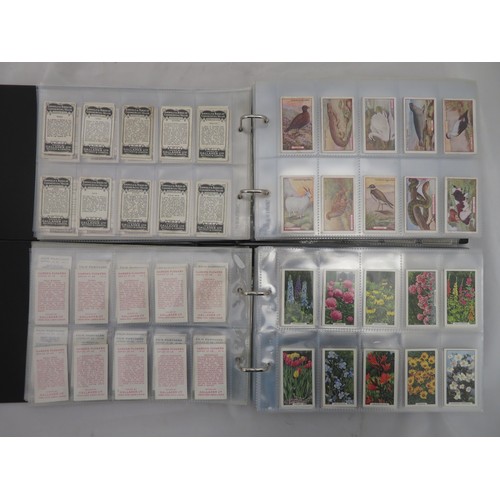 746 - Collection of Gallaher cigarette card sets in two albums, in mixed condition, with Aesop's Fables, D... 