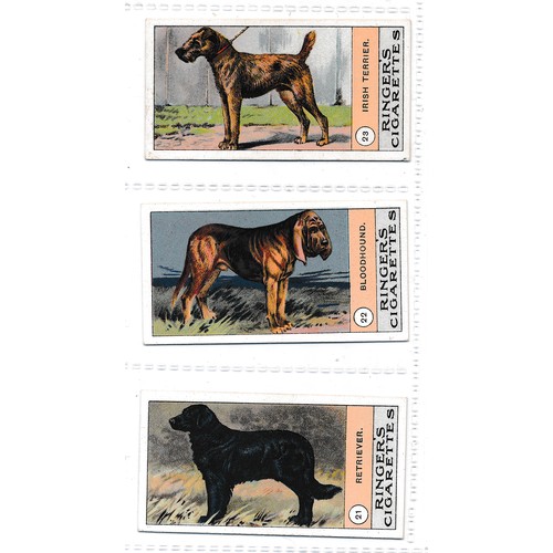 744 - Edwards, Ringer & Bigg (E.R.B.) 1908 Dog Series Klondyke back complete set of 23 in excellent condit... 