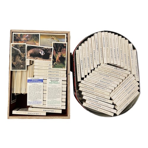 799 - Large selection of cigarette and trade cards with some sleeved Players and Wills sets, many packets ... 