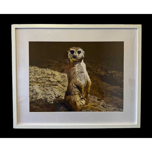 317 - Stan Kaminski (b.1952) – Meerkat, wildlife depiction of a standing meerkat in gouache. Framed, signe... 