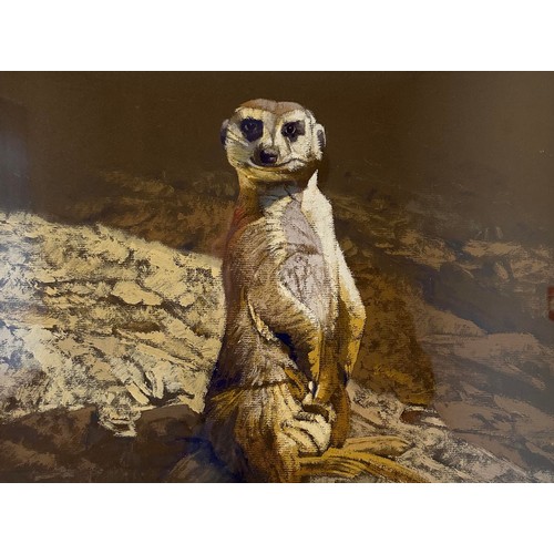 317 - Stan Kaminski (b.1952) – Meerkat, wildlife depiction of a standing meerkat in gouache. Framed, signe... 