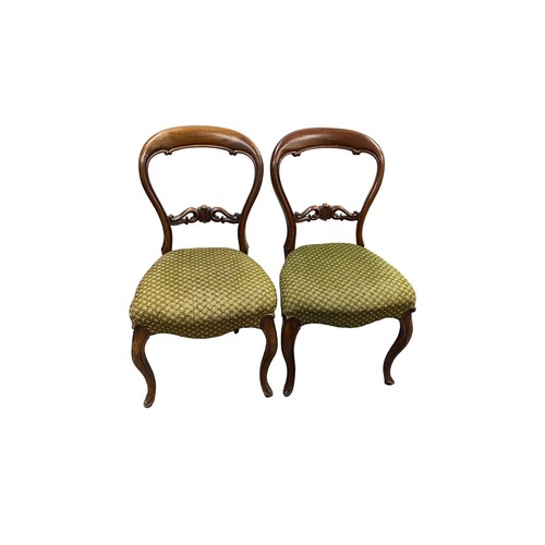 481 - Pair of Victorian mahogany balloon back dining chairs