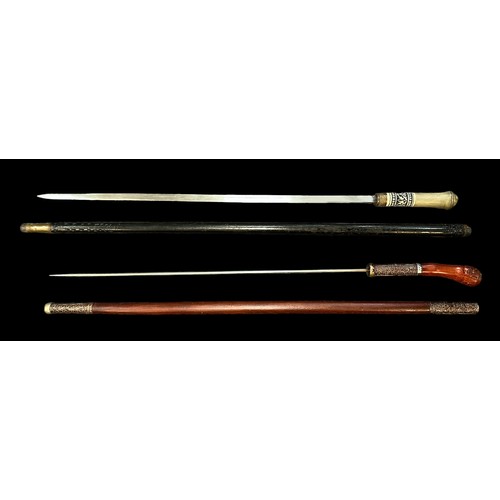 309 - Pair of sword sticks, one with lions head design to top and 