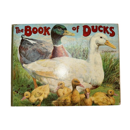 703 - The Book of Ducks published by Ernest Nister of Germany and printed in Bavaria, a legendary publishe... 