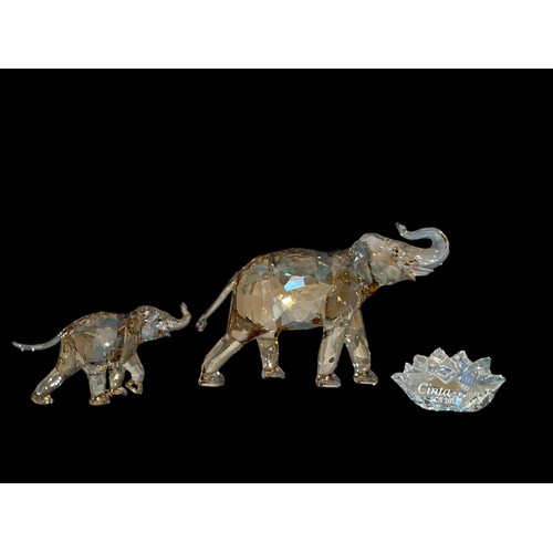 228 - A Swarovski Crystal Society 2013 'Cinta' the Asian elephant designed by Elisabetb Adamer (9100 NR 00... 