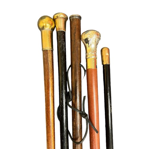 307 - Collection of thirteen walking sticks, mostly with white metal tops, three have obscured hallmarks.