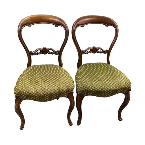 481 - Pair of Victorian mahogany balloon back dining chairs