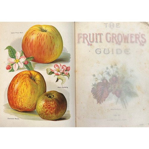 379 - WRIGHT, JOHN. ‘The Fruit Grower’s Guide’ by John Wright with Illustrations, J. S. Virtue & Co Ltd [L... 