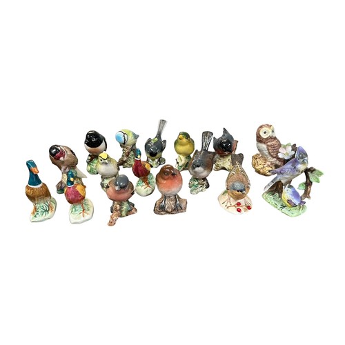 11 - Beswick small bird collection, to include; Grey Wagtail (1041), Chaffinch (991), Blue Tit (992), Sto... 