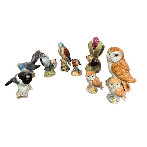 12 - Beswick, Bird group of figurines to include; Beswick Woodpecker (1218), Beswick Kestrel (2316), Less... 