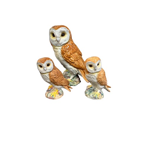 12 - Beswick, Bird group of figurines to include; Beswick Woodpecker (1218), Beswick Kestrel (2316), Less... 