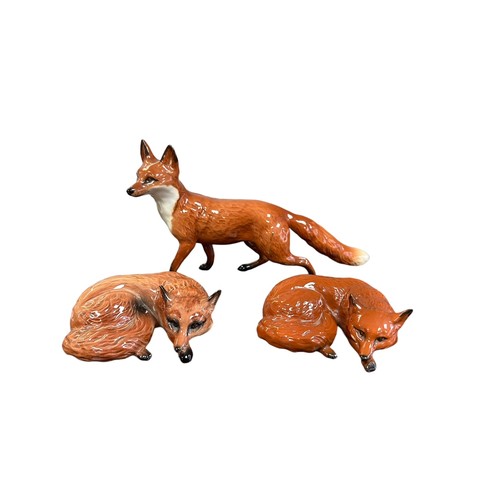 13 - Beswick, a group of three Fox figurines, to include; larger prowling fox (length 22.5cm) and two cur... 