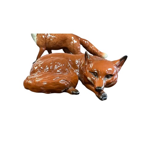 13 - Beswick, a group of three Fox figurines, to include; larger prowling fox (length 22.5cm) and two cur... 