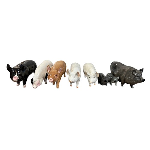 16 - Beswick, group of Pig figurines to include; Beswick Berkshire Boar, Beswick ‘CH Wall Boy’ & ‘CH Wall... 