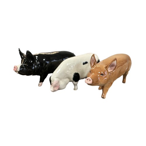 16 - Beswick, group of Pig figurines to include; Beswick Berkshire Boar, Beswick ‘CH Wall Boy’ & ‘CH Wall... 