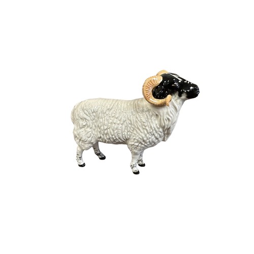 17 - Beswick, a Beswick Boreray Sheep (Rare Breeds) model. Height 12cm.