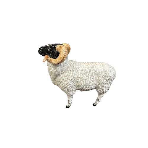 17 - Beswick, a Beswick Boreray Sheep (Rare Breeds) model. Height 12cm.