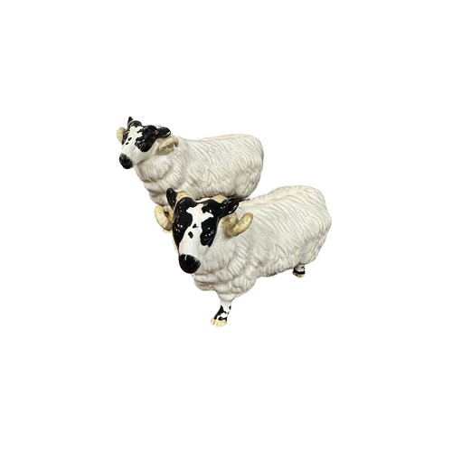 18 - Beswick, group of Sheep figurines to include; Beswick Wensleydale Sheep, Two Rams (2), Two further C... 