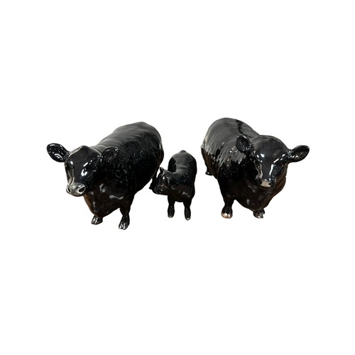 19 - Beswick, Beswick Aberdeen Angus Family comprising Beswick Aberdeen Angus Bull 1562, Beswick Aberdeen... 