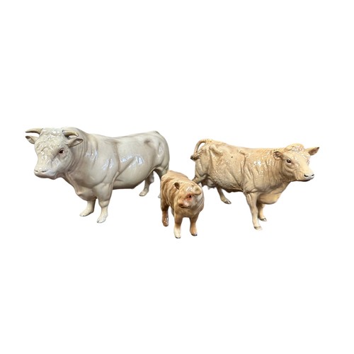 21 - Beswick, Beswick Charolais Cow family to include; Beswick Charolais Bull 2463A, Beswick Charolais Co... 