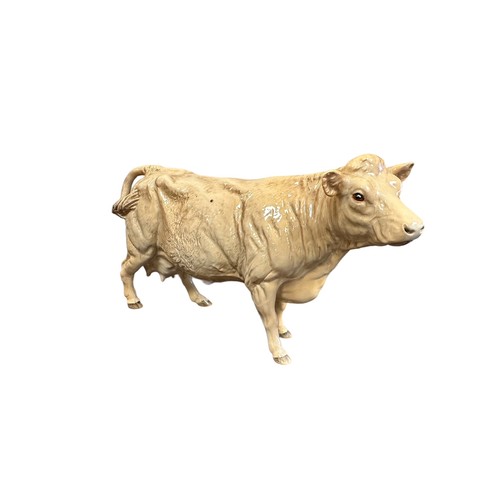 21 - Beswick, Beswick Charolais Cow family to include; Beswick Charolais Bull 2463A, Beswick Charolais Co... 