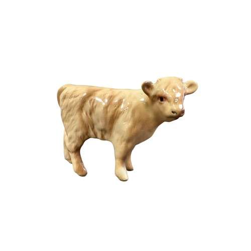 21 - Beswick, Beswick Charolais Cow family to include; Beswick Charolais Bull 2463A, Beswick Charolais Co... 